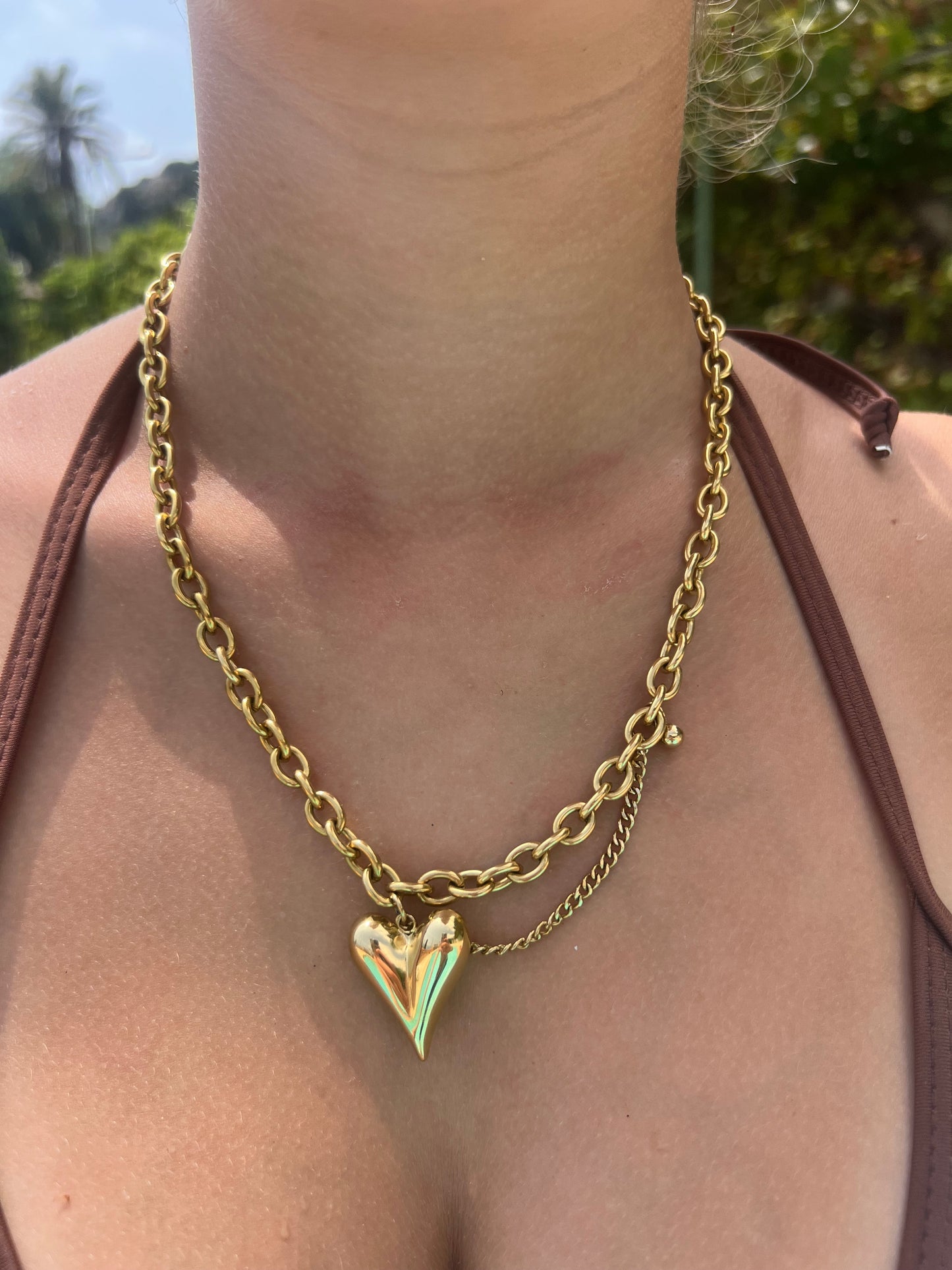 Collier Daily
