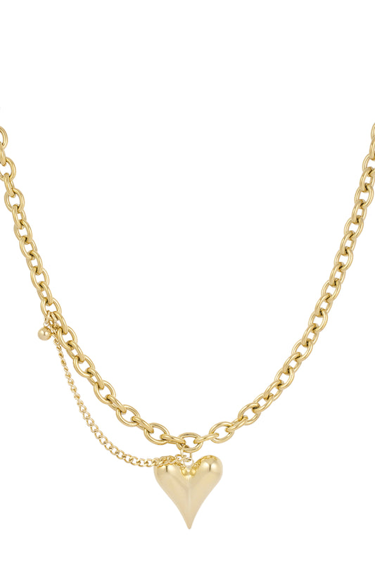Collier Daily